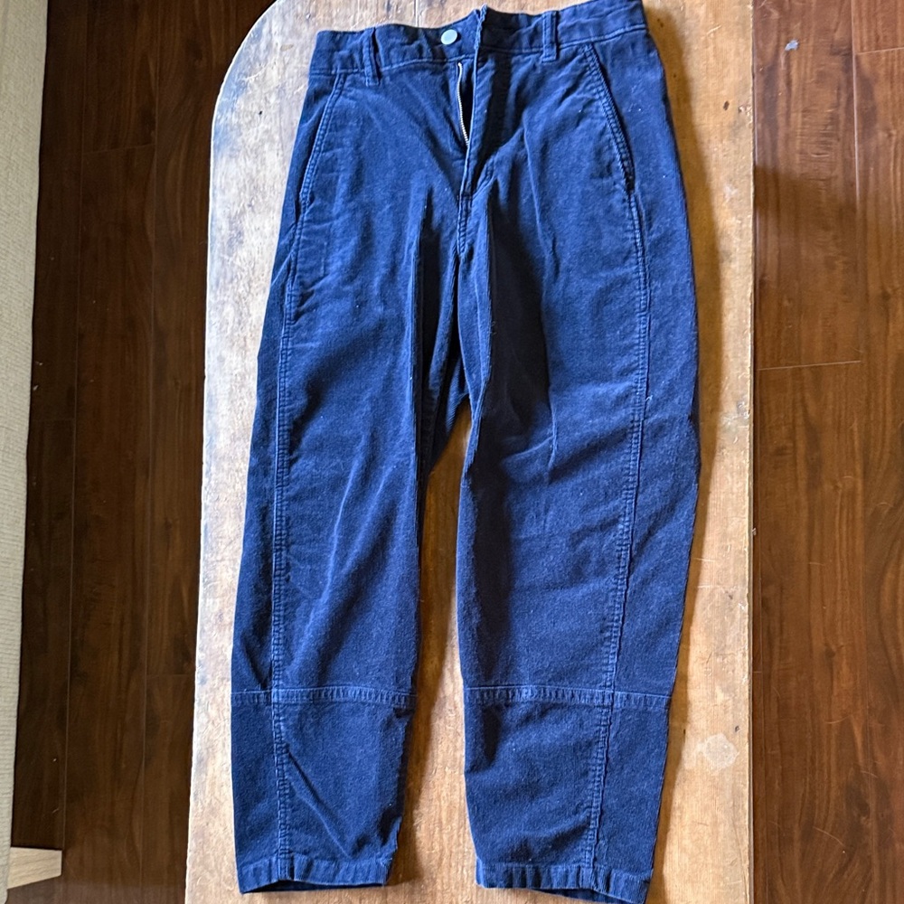 Navy blue corduroy everlane utility barrel pants